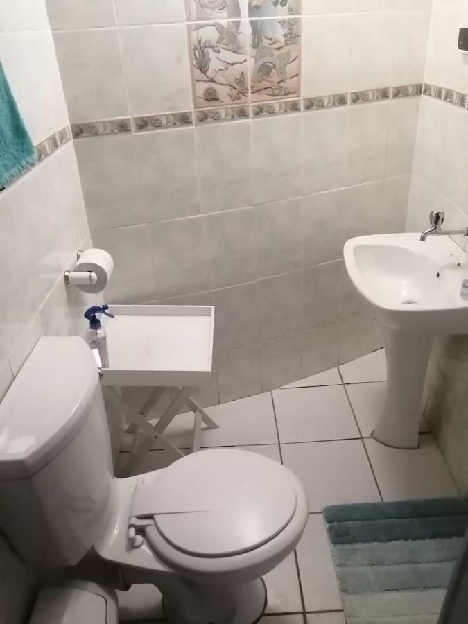 36 Mount Road Guesthouse And Self Catering Port Elizabeth Exteriér fotografie